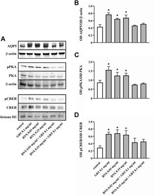 Effects of Topical Gabapentin on Ocular Pain and Tear Secretion